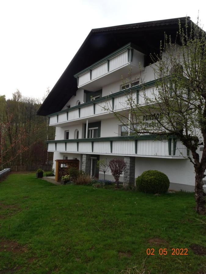 Pension Anderl Bodenmais Buitenkant foto